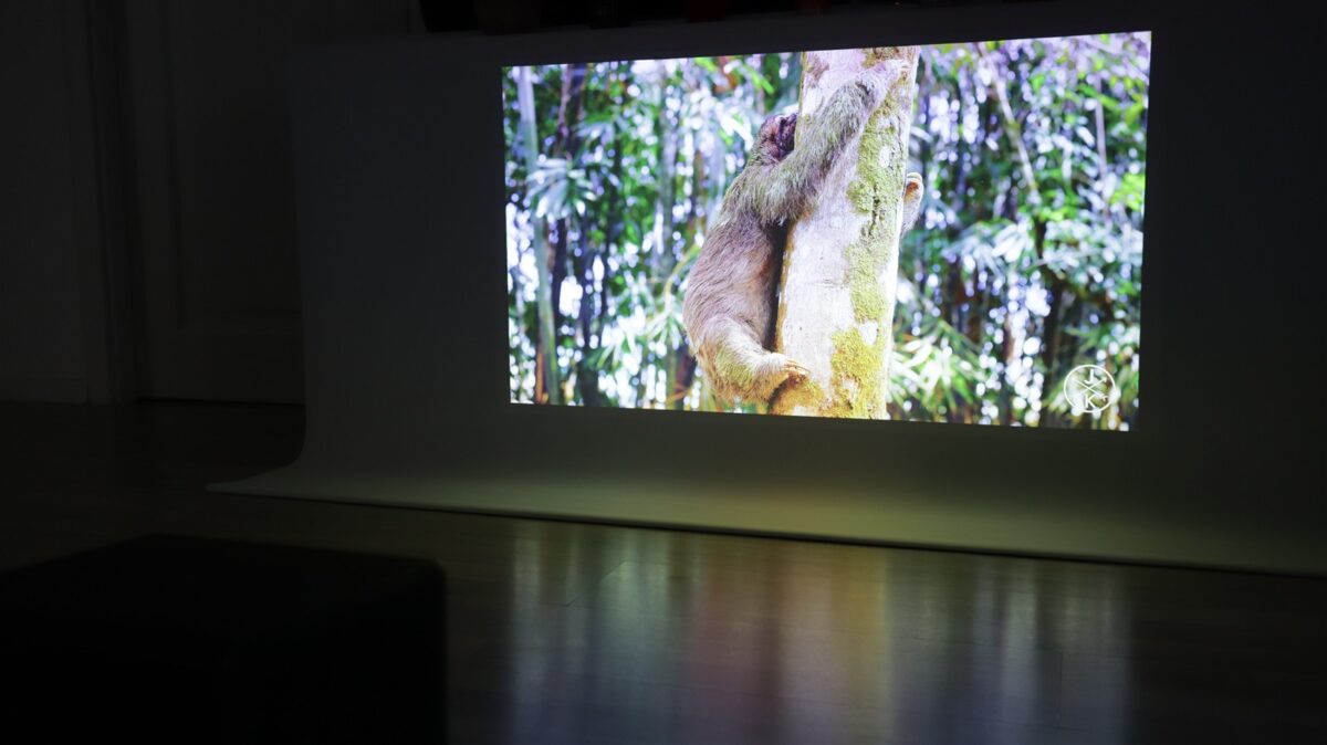 Proiector smart 4K BenQ GP520 - review