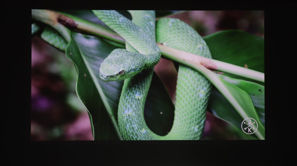 Proiector smart 4K BenQ GP520 - review