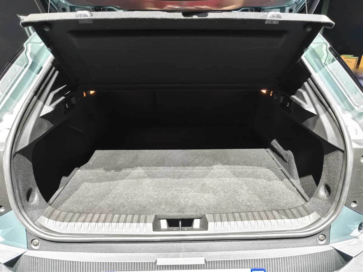 Dacia Striker - prezentare