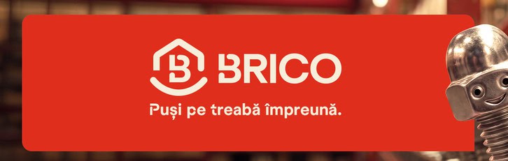 Brandurile Brico DÃ©pÃ´t Åi Carrefour dispar oficial din RomÃ¢nia (iatÄ cu ce vor fi Ã®nlocuite acestea)